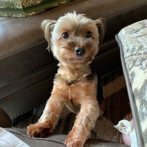 Meet your Posher, Denise